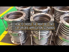 বেলুনের নির্বাচন