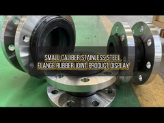 স্টেইনলেস স্টীল ফ্ল্যাঞ্জের কাঁচা জয়েন্ট